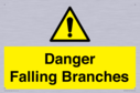 danger-falling-branches~